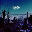 Suede - 